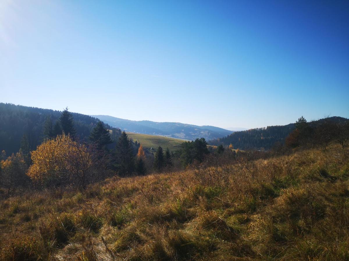 Apartamenty U Janka Krynica Zdroj Dış mekan fotoğraf